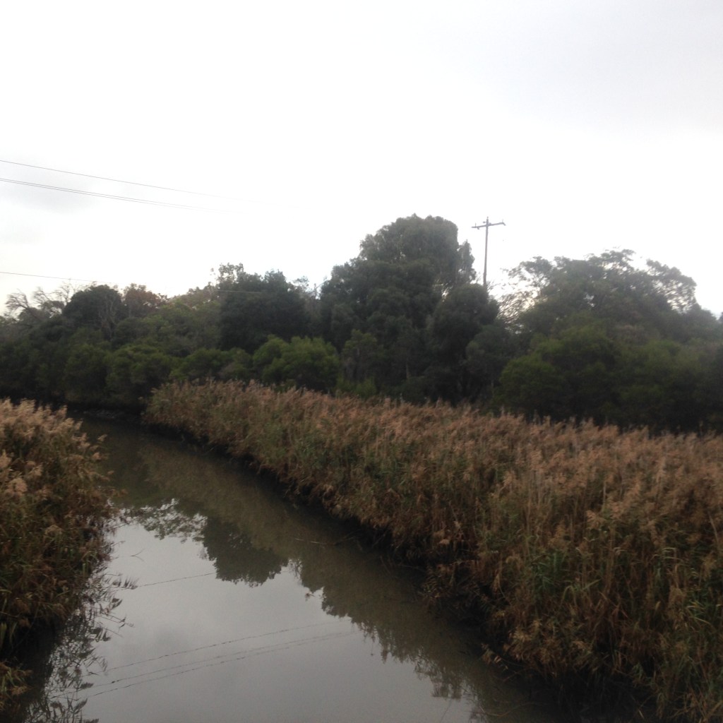 From the Archives –&nbsp;2015