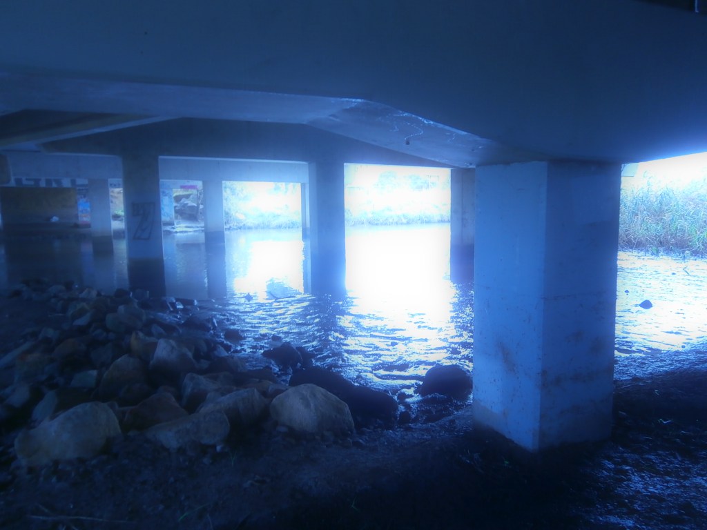 From the Archives –&nbsp;2017